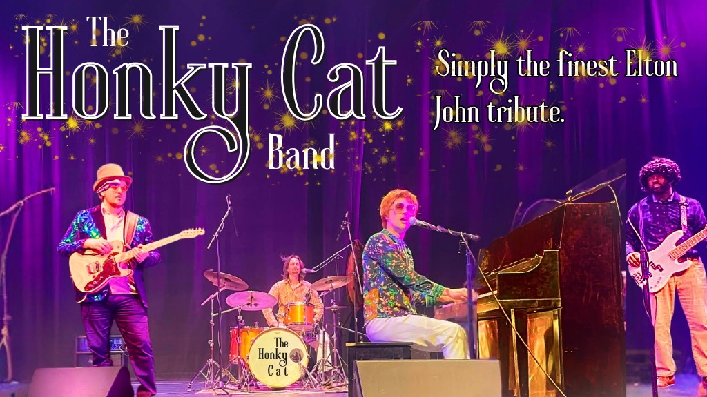 honkycatband.com homepage